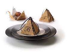 tulip bulb project tulip bulb project