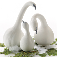 Swans