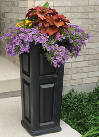 Multiple personnalités