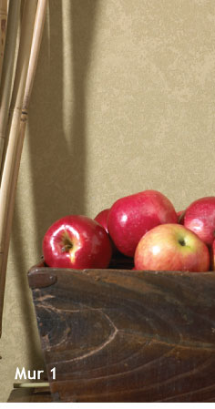 Mur 1 pour Texture pour plafonds et murs FlexRock