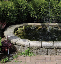 Un magnifique jardin d'eau au sol simple